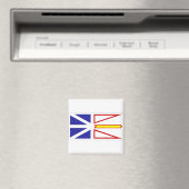 Vlag van Newfoundland Magneet (Insitu (Vaatwasser))