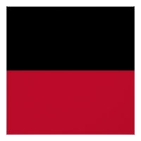 Vlag van Nijmegen