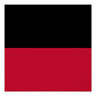Vlag van Nijmegen Perfect Poster
