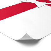 Vlag van Noord-Ierland Poster (Hoek)