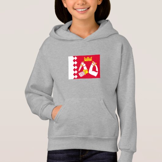 Vlag van Noord-Karelië (Voorkant)