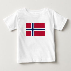 Vlag van Noorwegen
