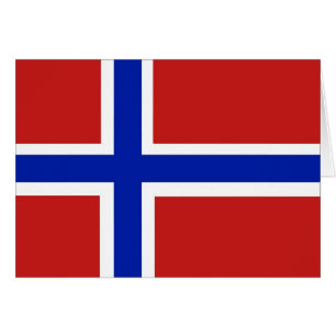 Vlag van Noorwegen Scandinavisch