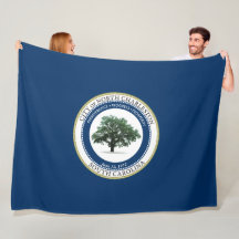 Vlag van North Charleston (South Carolina)