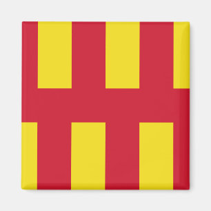 Vlag van Northumberland Magnet Magneet