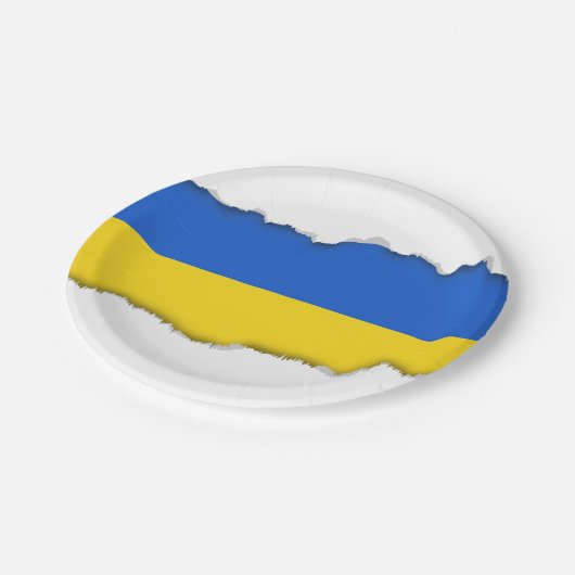 Vlag van Oekraïne Papieren Bordje (Gekanteld)