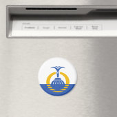 Vlag van Orlando, Florida Magneet (Insitu (Vaatwasser))