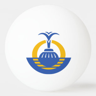 Vlag van Orlando, Florida. Pingpongballen