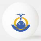Vlag van Orlando, Florida. Pingpongballen (Achterkant)