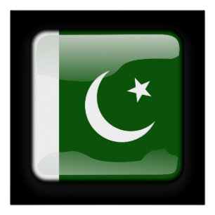 Vlag van Pakistan Perfect Poster