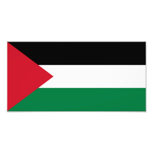 Vlag van Palestina Foto Afdruk