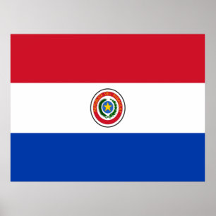 Vlag van Paraguay Poster