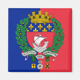 Vlag van Parijs, France Magnet Magneet