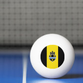Vlag van Pittsburgh, Pennsylvania Ping-Pong Ball (Net)