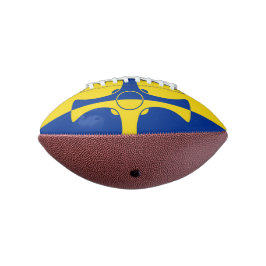 Vlag van Provincie het MiniFootball van Durham, American Football