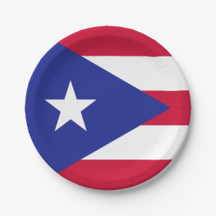 Vlag van Puerto Rico Papieren Bordje