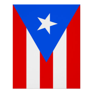 vlag van Puerto Rico Perfect Poster