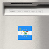 Vlag van Queens, NY Magneet (Insitu (Vaatwasser))