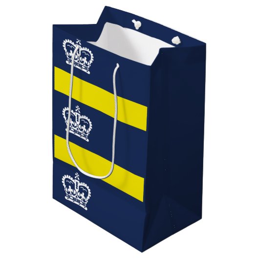 Vlag van Regina, Saskatchewan Medium Gift Bag Cadeauzakje (Voorkant Gekanteld)