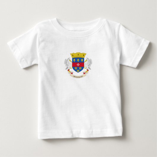 Vlag van Saint-Barthélemy (Voorkant)