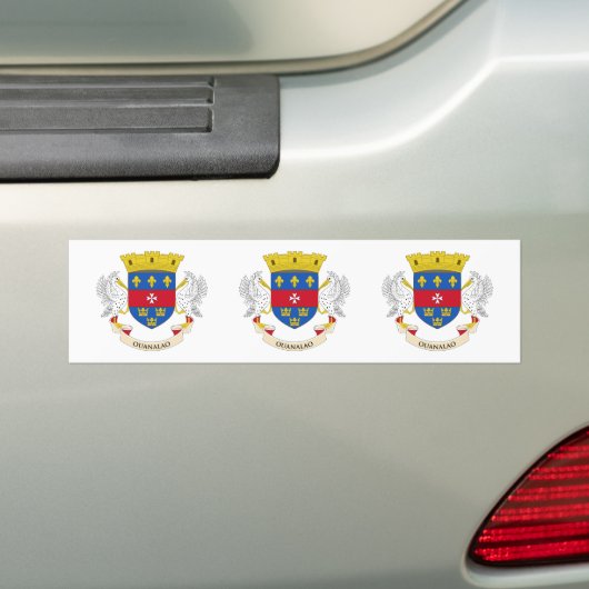 Vlag van Saint-Barthélemy Bumpersticker (Op auto)