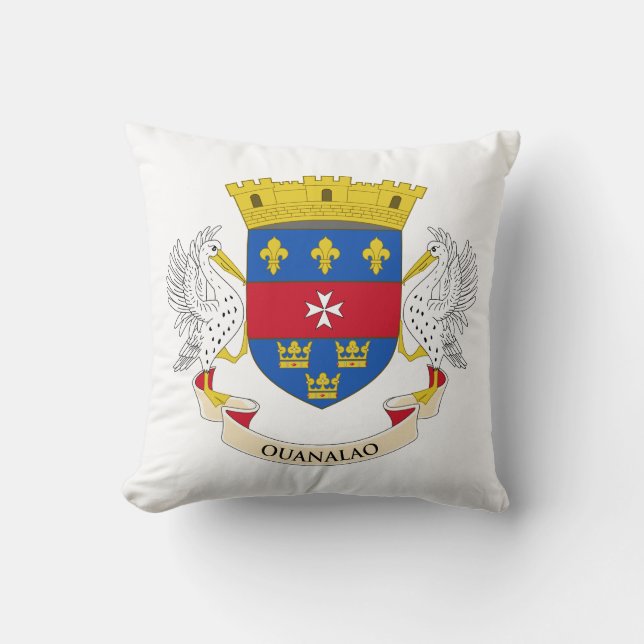 Vlag van Saint-Barthélemy Kussen (Voorkant)