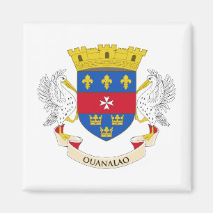 Vlag van Saint-Barthélemy Magneet