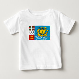 Vlag van Saint-Pierre en Miquelon