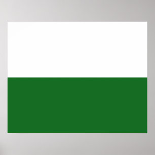 Vlag van Saksen (Duitse staat) Poster
