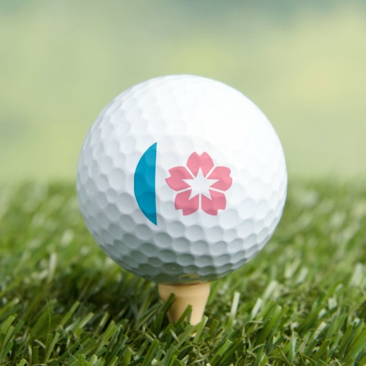 Vlag van Salem, Oregon Golfballen (Insitu Shirt)