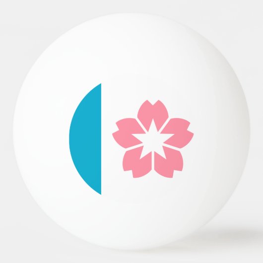 Vlag van Salem, Oregon Pingpongballen (Voorkant)