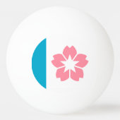 Vlag van Salem, Oregon Pingpongballen (Achterkant)