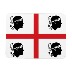 vlag van sardinië italië regio eiland etnische a magneet