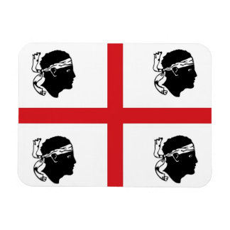 vlag van sardinië italië regio eiland etnische afk magneet