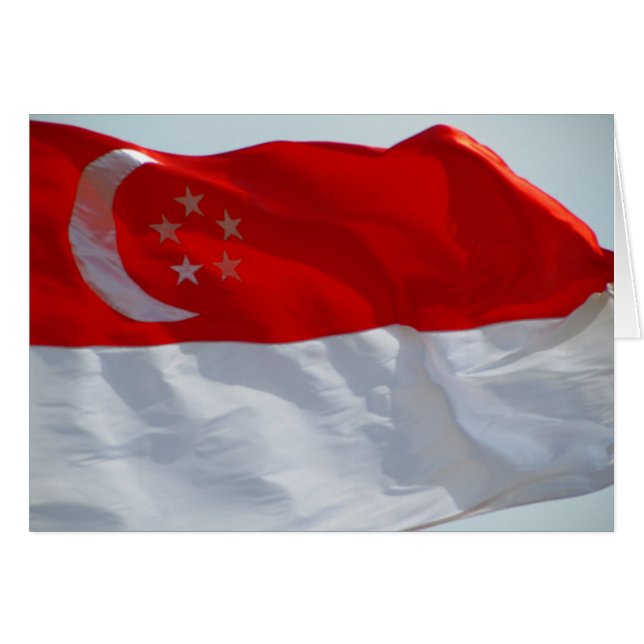 vlag van singapore (Voorkant Horizontaal)