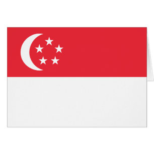 Vlag van Singapore