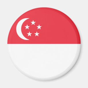 Vlag van Singapore Magneet