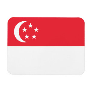 Vlag van Singapore Magneet