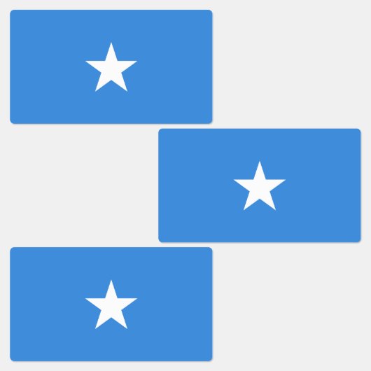 Vlag van Somalië Labels (Groep)