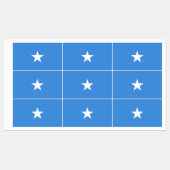 Vlag van Somalië Labels (Vel)