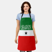 Vlag van Somaliland Schort (Gedragen)