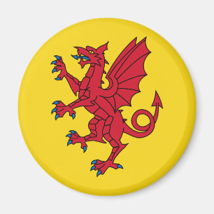 Vlag van Somerset Magnet Magneet