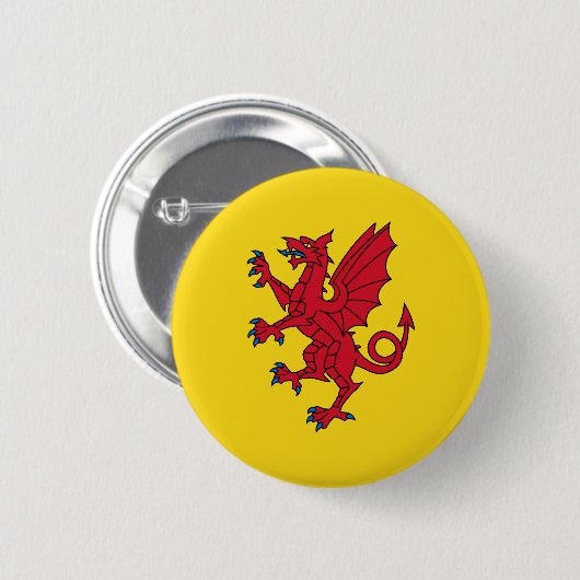 Vlag van Somerset Pinback Button (Voorkant /achterkant)