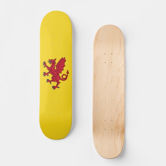 Vlag van Somerset Skateboard (Voorkant)
