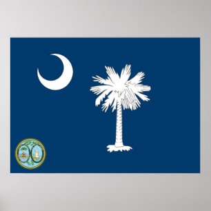 vlag van South Carolina Poster