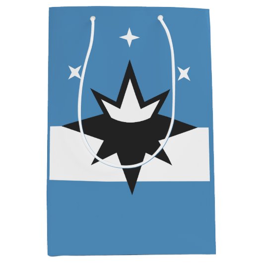 Vlag van Springfield, Missouri Medium Cadeauzakje (Voorkant)