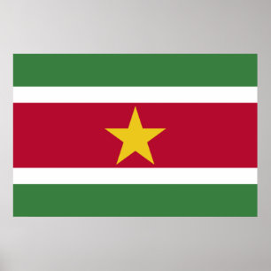 Vlag van Suriname Poster