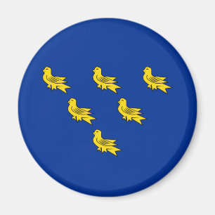 Vlag van Sussex Magnet Magneet