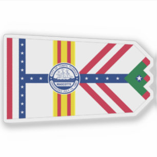 Vlag van Tampa, Florida Sticker