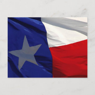 Vlag van Texas Pop Art Briefkaart